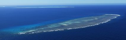 Lamont Reef - QLD (PBH4 00 18401)